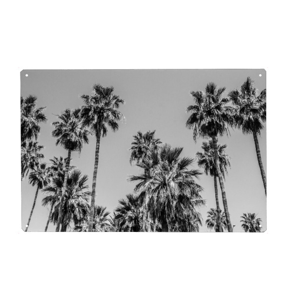 Holzbild "L.A. Palm Trees By the Beach" artboxONE - Natur,Reise,Reise / Strand und Meer