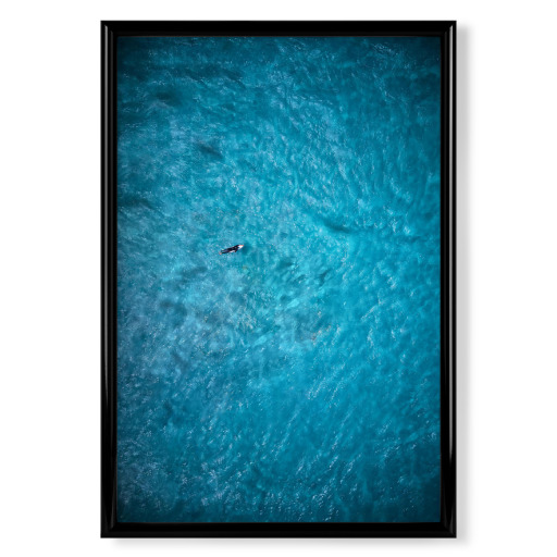 Surf the Ocean