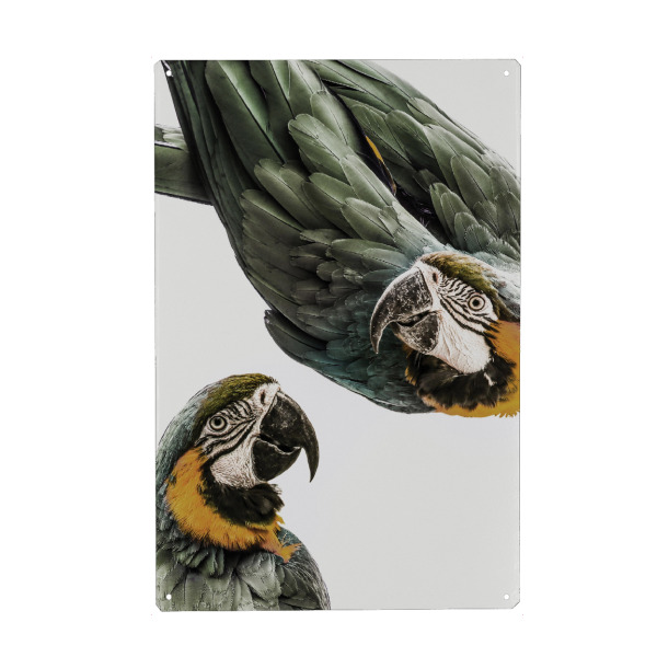 Holzbild "Birds or Paradise" artboxONE - Natur,Tiere,Liebe