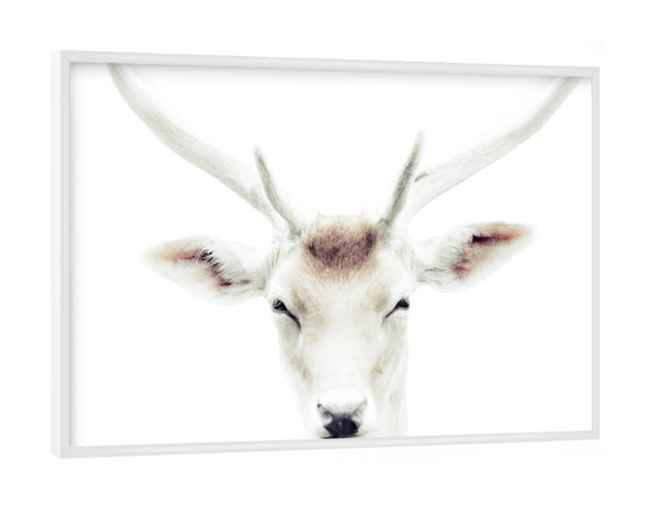Poster mit weißem Rahmen "Deer 4" artboxONE - Natur,Tiere,Weihnachten - Deer,Animal,Antlers,Portrait,Head,Eyes,Christmas,Xmas,Tiere