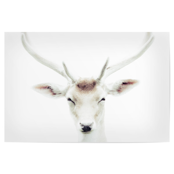 Poster 30x20 cm "Deer 4" artboxONE - Natur,Tiere,Weihnachten - Deer,Animal,Antlers,Portrait,Head,Eyes,Christmas,Xmas,Tiere