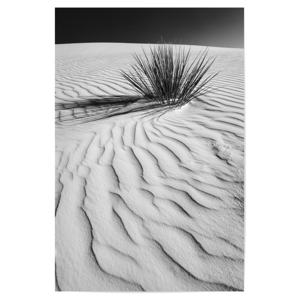 Poster 30x20 cm "Wellenzeichnung der Dünen" artboxONE - Natur,Schwarzweiß
