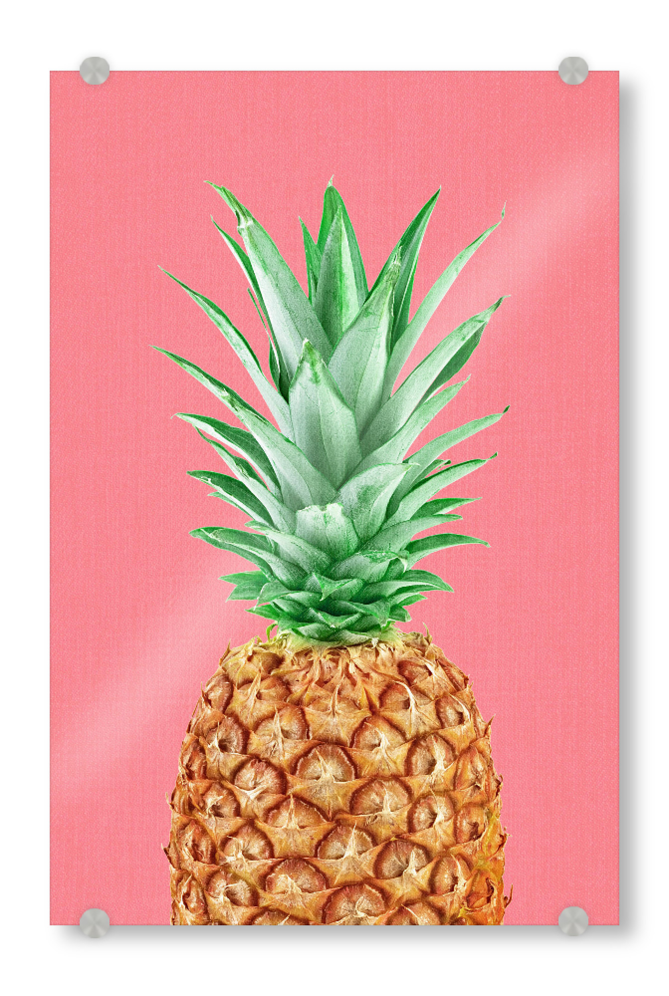 Acrylglasbild "Pineapple in Pink" artboxONE - Natur,Für Kinder,Für Mama,Für Papa,Essen & Trinken / Obst & Gemüse