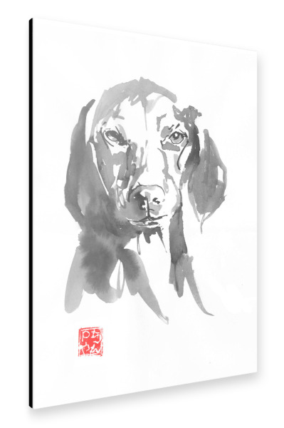 Alu-Dibond "Dog in the light" 30x20 cm artboxONE