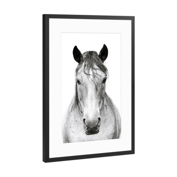 Poster mit Rahmen Schwarz (Metallic) "Horse I" artboxONE - Natur,Tiere