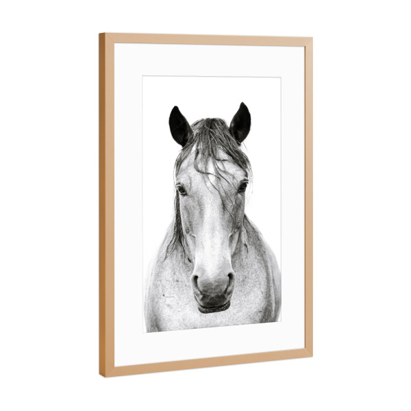 Poster mit Rahmen Kupfer "Horse I" artboxONE - Natur,Tiere