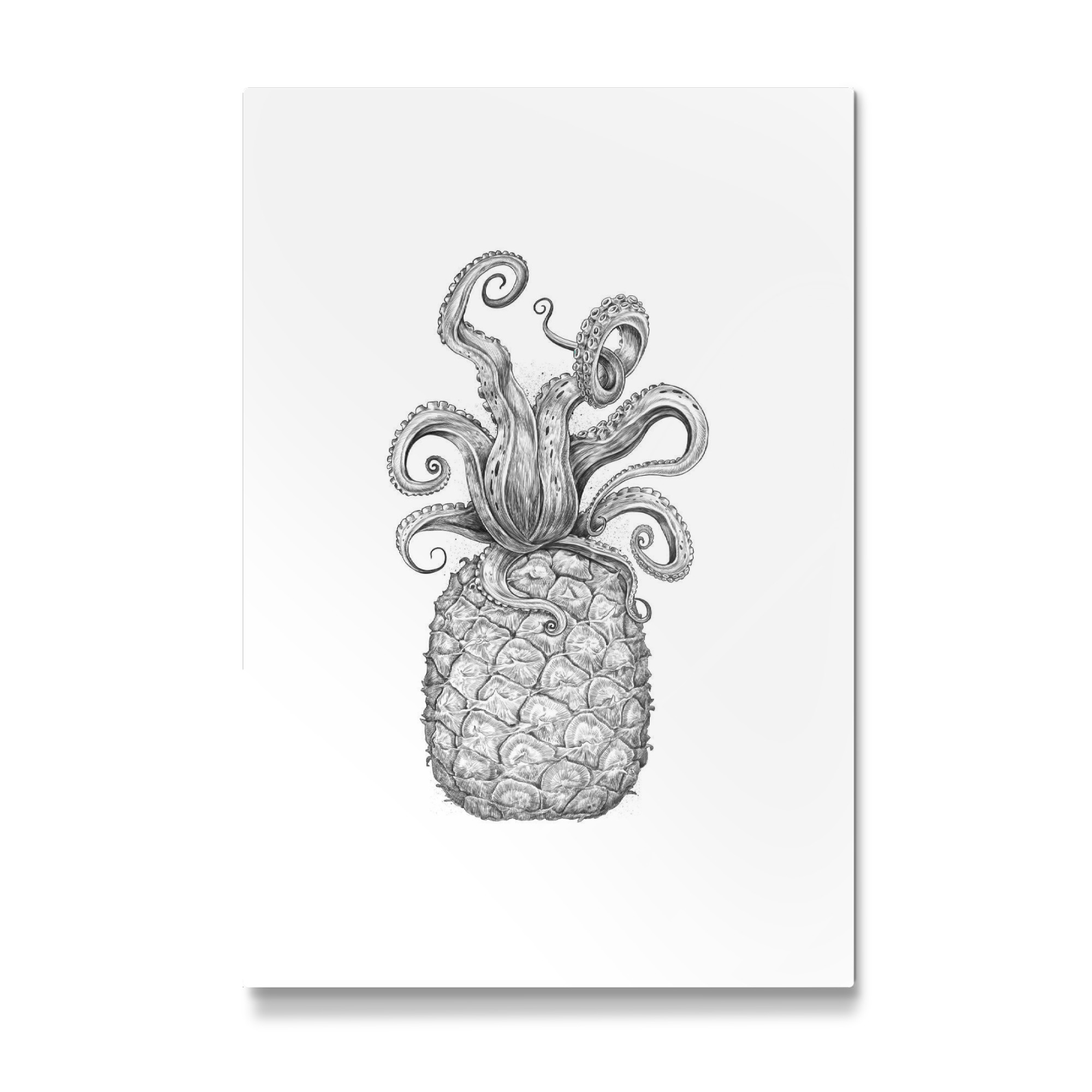 Galerie-Print "Octopus Pineapple black & white" 30x20 cm artboxONE