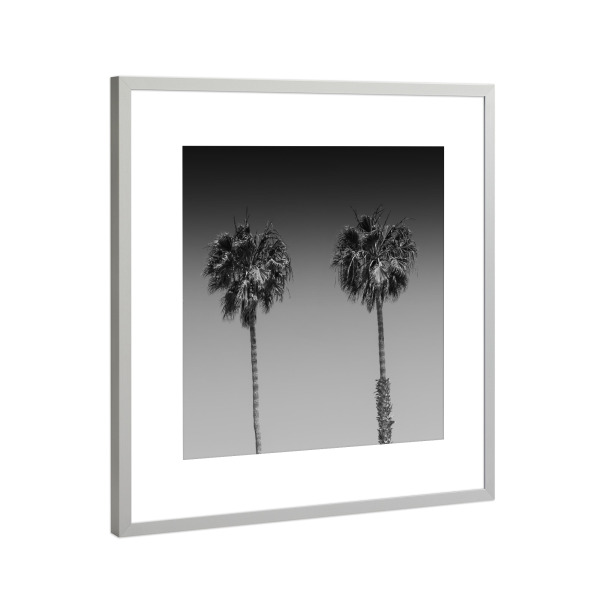 Poster mit Rahmen Silber "Palmenpanorama | Monochrom" artboxONE - Natur,Schwarzweiß