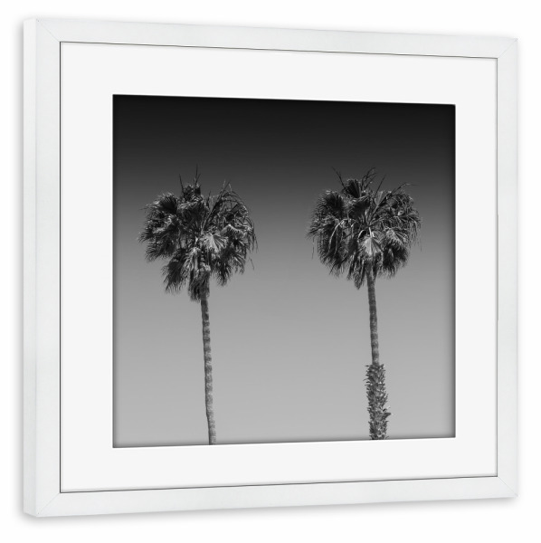 Poster mit Rahmen weiß "Palmenpanorama | Monochrom" artboxONE - Natur,Schwarzweiß