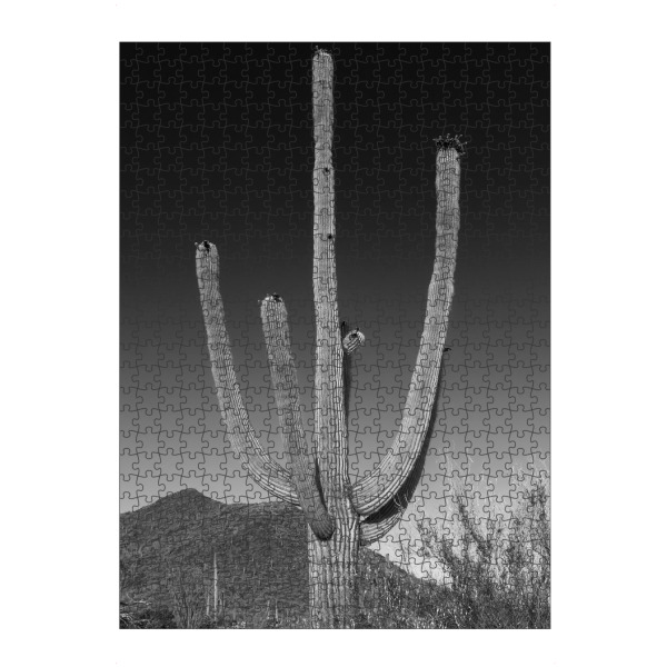 Puzzle Ravensburger "Saguaro Kaktus | Monochrom" artboxONE - Natur,Schwarzweiß