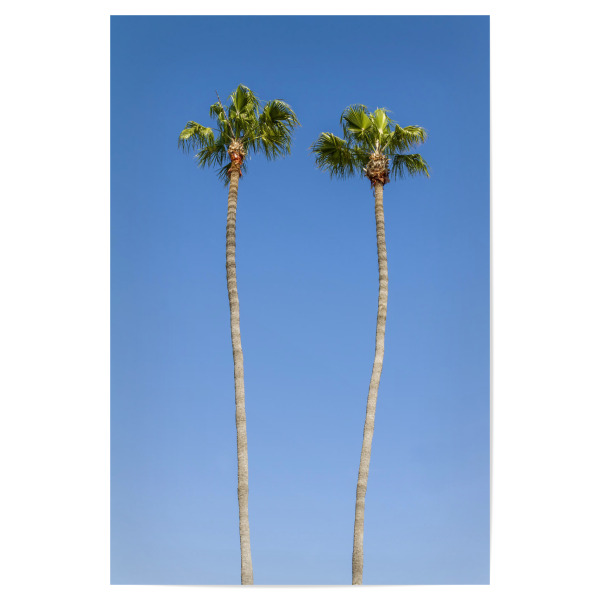 Poster "Palmenidylle" artboxONE - Natur - Kalifornien,Palme,Palmen,Blauer himmel,Ferien,Sommer,Urlaub,Strand,Urlaubsstimmung