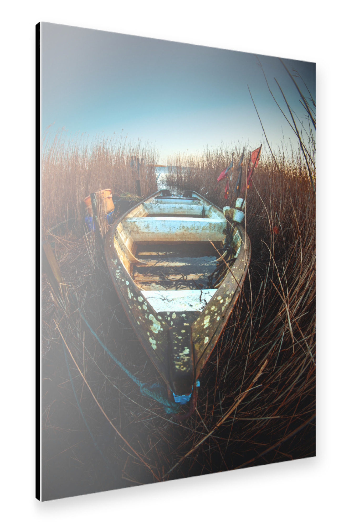 Alu-Dibond "Boot im Schilf" 30x20 cm artboxONE