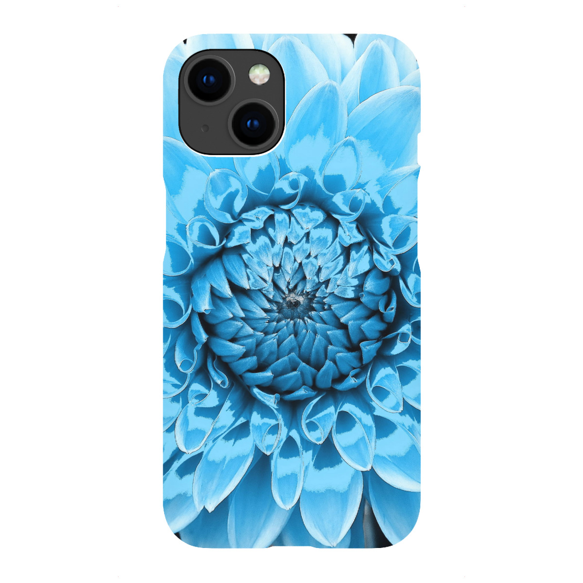 iPhone "Dahlie pop hellblau" Premium-Case Handyhülle artboxONE
