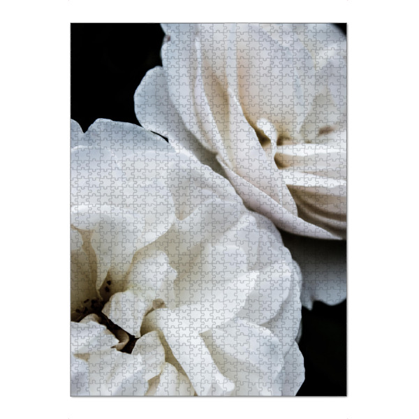 Puzzle Ravensburger "White Roses I" artboxONE - Natur,Floral