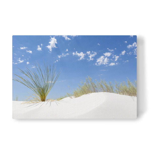 Leinwandbild "Wüstenimpression" artboxONE - Natur