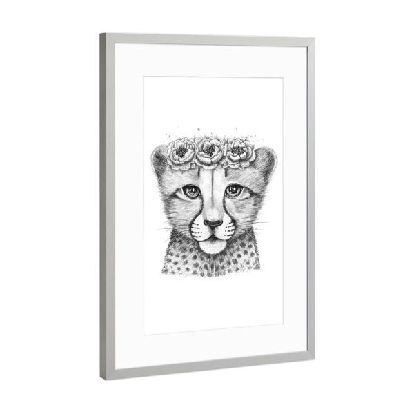 Poster mit Rahmen Silber "Cheetah cub" artboxONE - Floral,Tiere,Schwarzweiß,Lustig - Cheetah,Cheetah cub,Cub,Cute,Lovely,Flowers,Animals