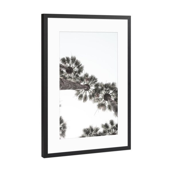 Poster mit Rahmen Schwarz (Metallic) "Bodrum Palms" artboxONE - Natur