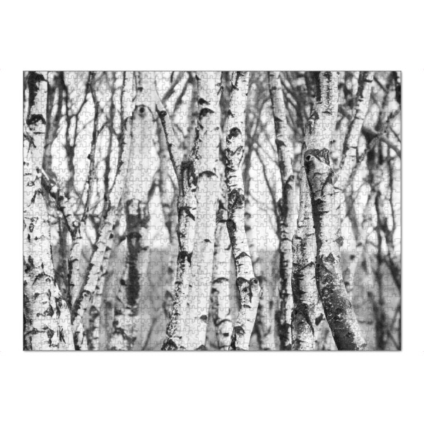 Puzzle Ravensburger "Birch trees forest" artboxONE - Natur