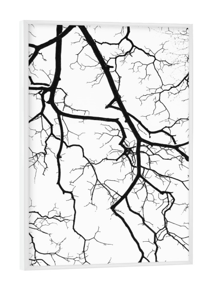 Poster mit weißem Rahmen "Through the branches" artboxONE - Natur,Schwarzweiß - Trees,Tree,Branch,Sky,Black-and-white,Silhouette,Nature,Clouds