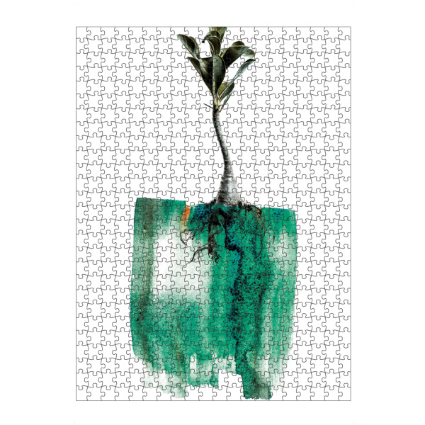 artboxONE Puzzle "Adenium Whole Plant" artboxONE - Natur,Floral,Abstrakt - Plant,Floral,Painting,Nature,Leaf,Roots,Growth,Form,Natural,Abstarct