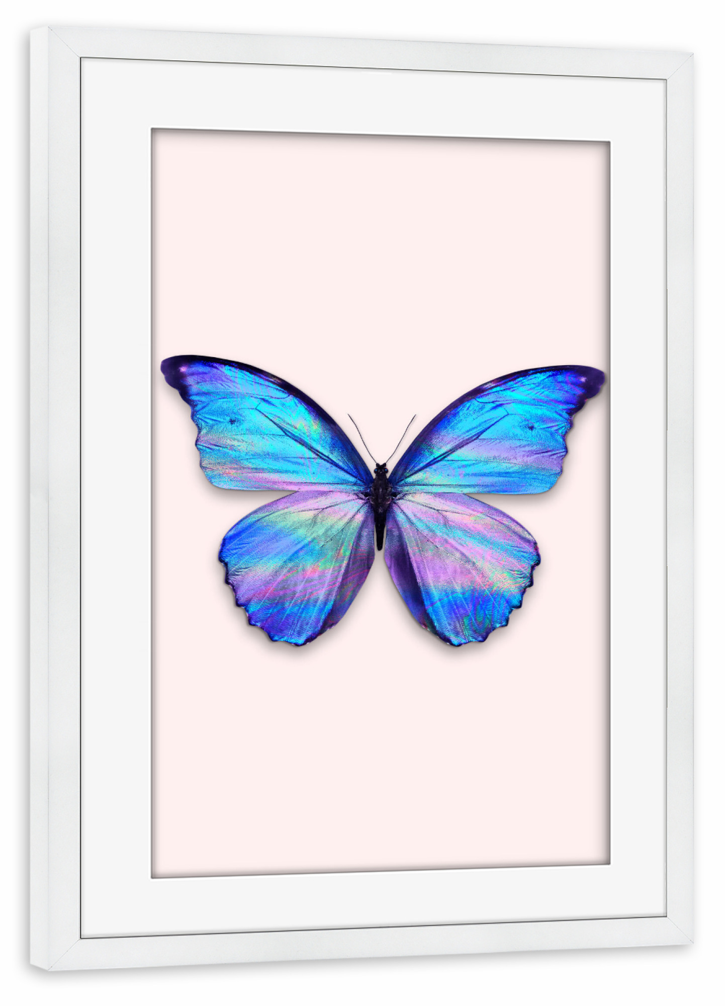 Poster mit Rahmen weiß "HOLOGRAPHIC BUTTERFLY" artboxONE - Tiere,Abstrakt
