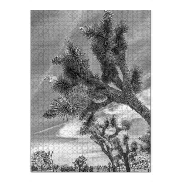 Puzzle Ravensburger "Joshua Tree Nationalpark Monochrom" artboxONE - Natur,Reise,Schwarzweiß