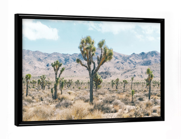 Poster mit schwarzem Rahmen "The Wild West" artboxONE - Natur,Reise