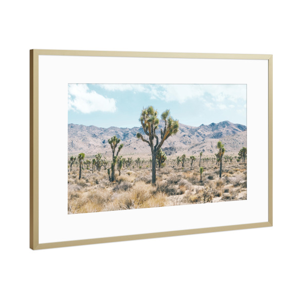Poster mit Rahmen Gold "The Wild West" artboxONE - Natur,Reise
