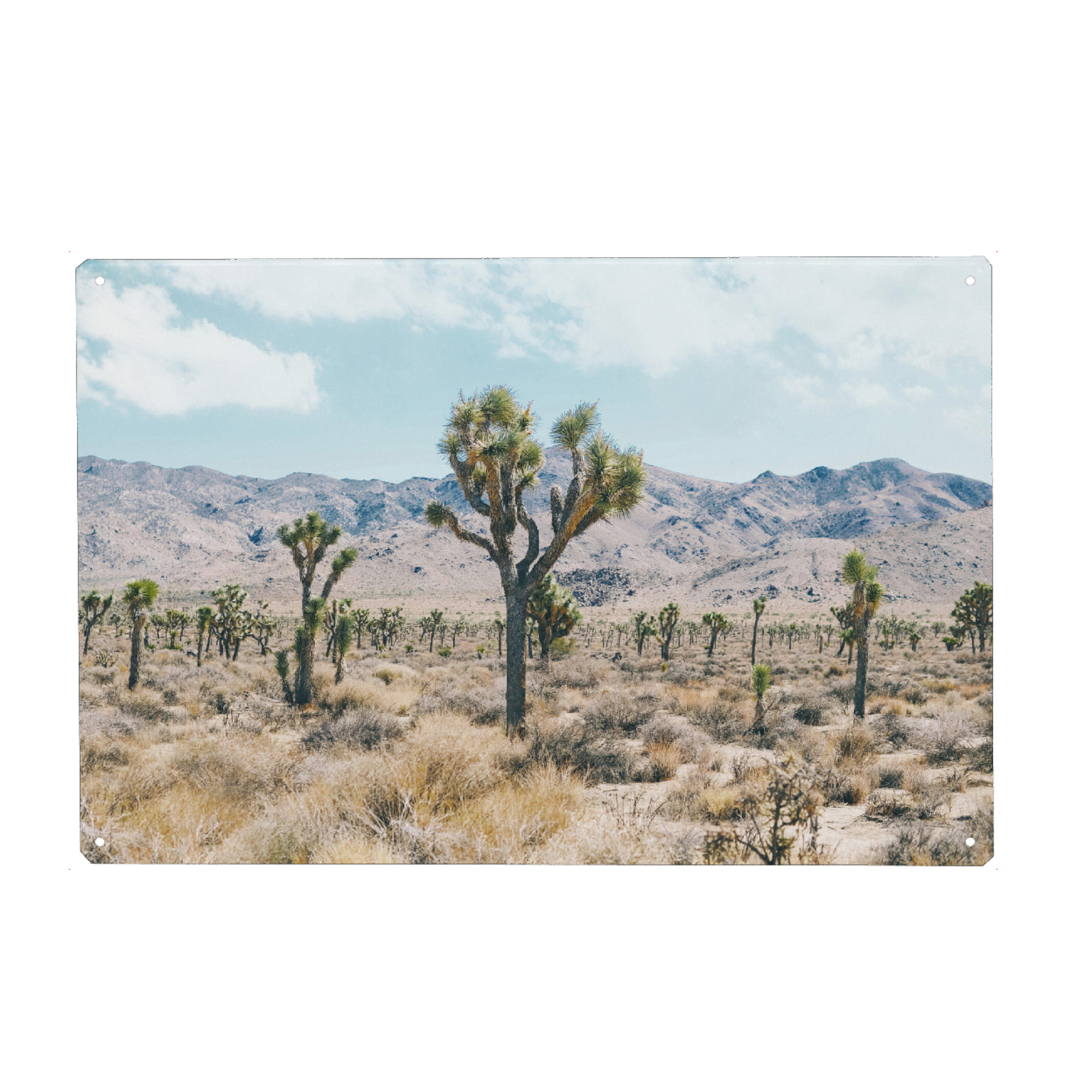 Holzbild "The Wild West" artboxONE - Natur,Reise