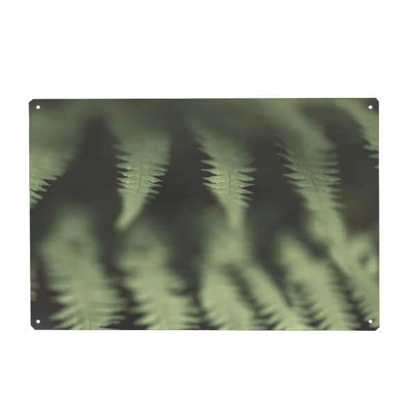 Holzbild "Farngewächs" artboxONE - Floral - Farn,Nahaufnahme,Pflanze