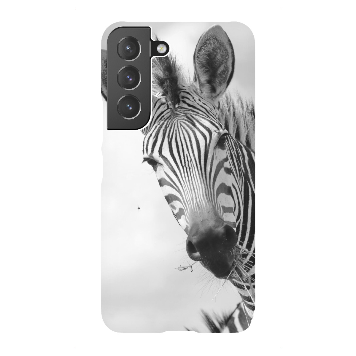 "Lustiges Zebra Portrait sw"für Samsung Galaxy - Premium-Case Handyhülle artboxONE