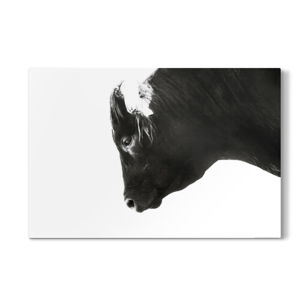 Galerie-Print "Bulls eye" 30x20 cm artboxONE