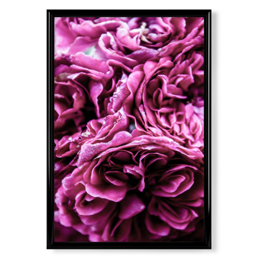 Deep Pink Floral Flowers