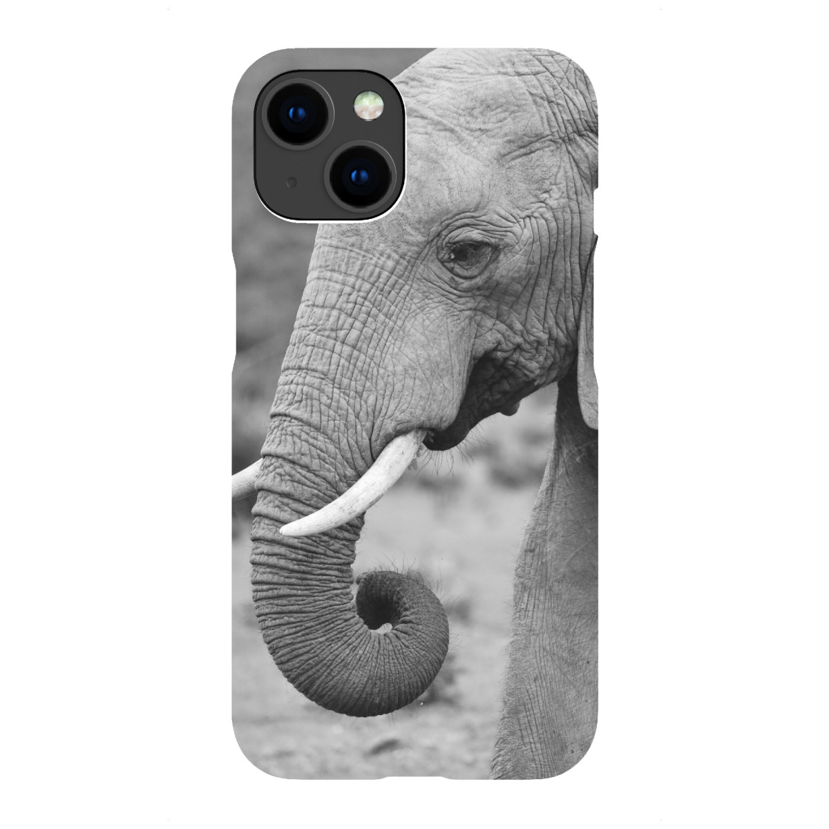 iPhone "Addo Elefanten Portrait" Premium-Case Handyhülle artboxONE