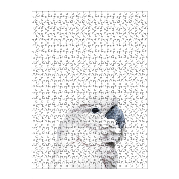 artboxONE Puzzle "White Parrot" artboxONE - Für Kinder,Tiere