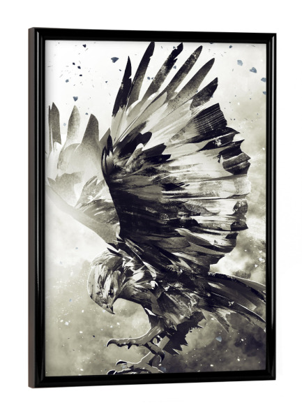 Poster mit schwarzem Rahmen "Eagle (matart)" artboxONE - Tiere,Schwarzweiß - Eagle,Bird,Birds,Animal,Animals,Wild