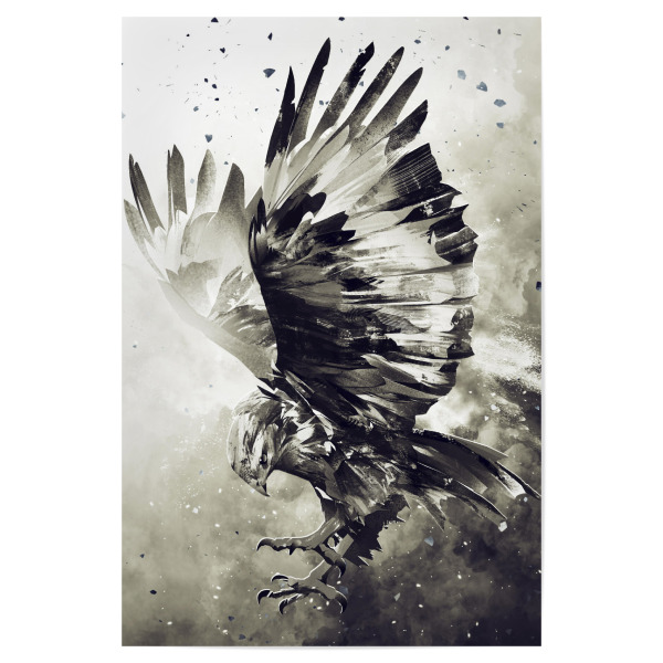 Poster "Eagle (matart)" artboxONE - Tiere,Schwarzweiß - Eagle,Bird,Birds,Animal,Animals,Wild