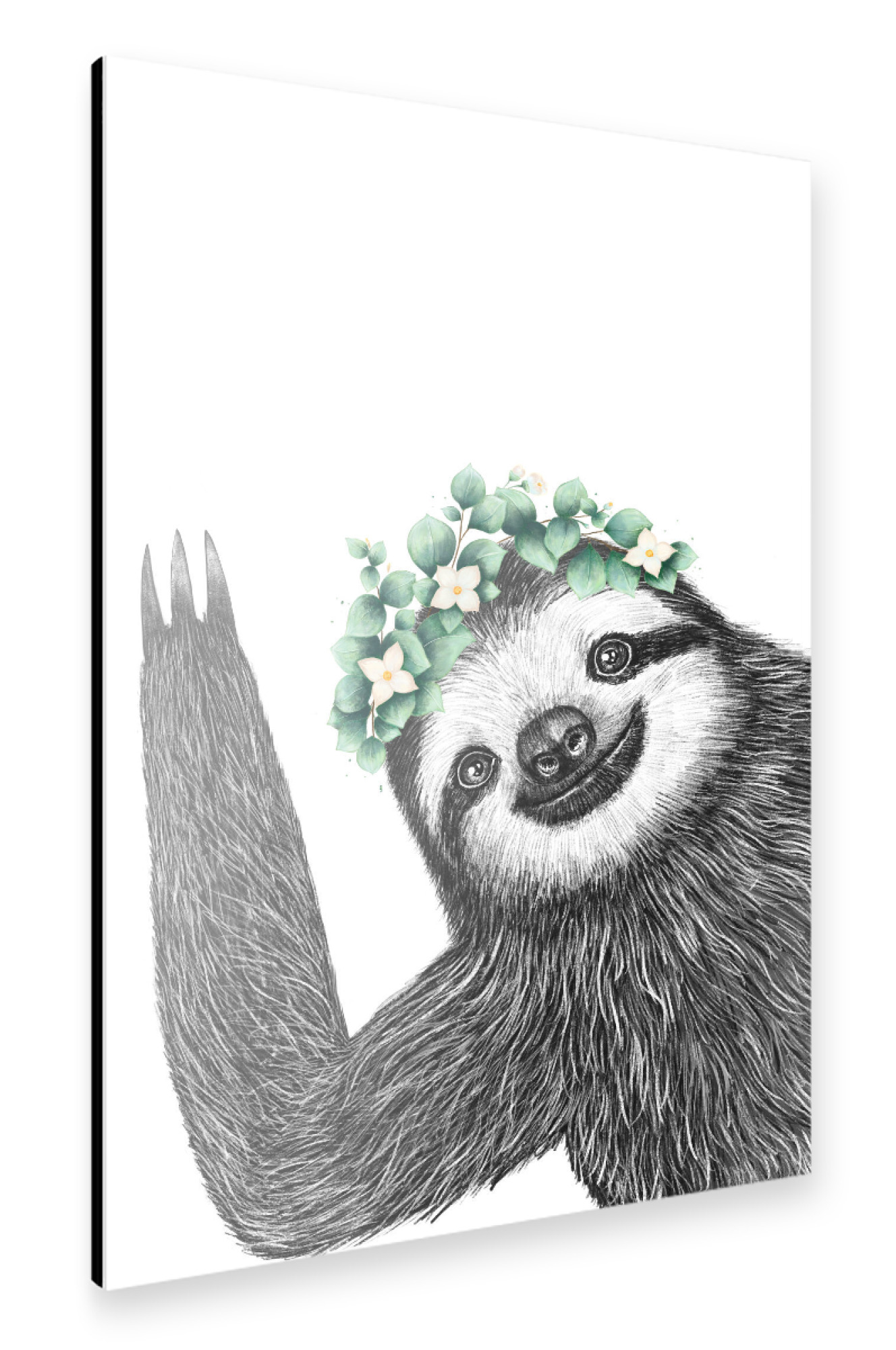 Alu-Dibond "Sloth with eucalyptus" 30x20 cm artboxONE