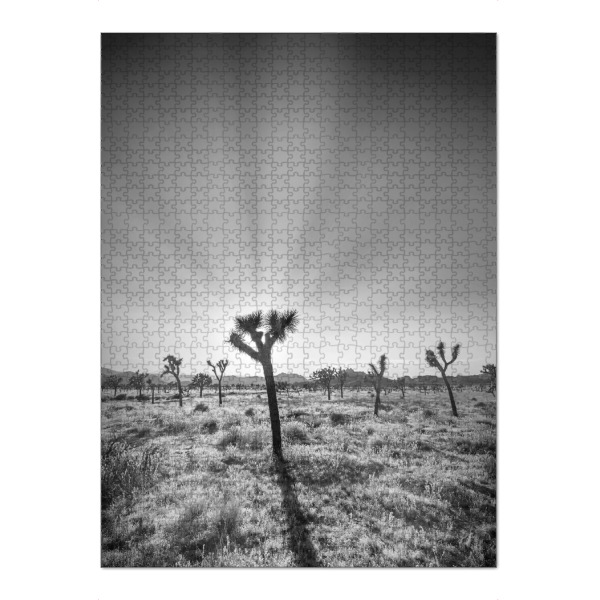 Puzzle Ravensburger "Joshua Tree und untergehende Sonne" artboxONE - Natur,Schwarzweiß