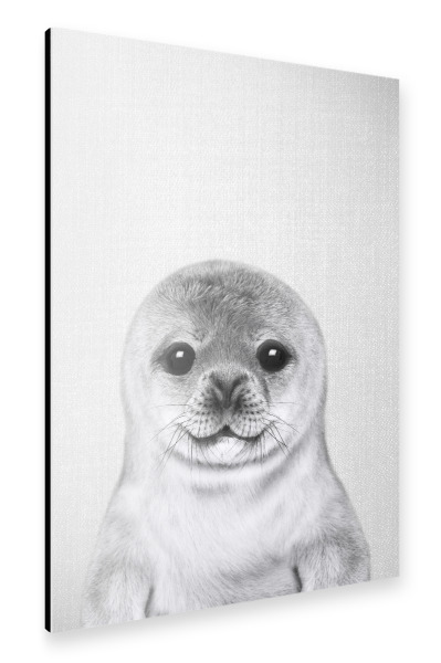 Alu-Dibond "Baby Seal - Black & White" 30x20 cm artboxONE