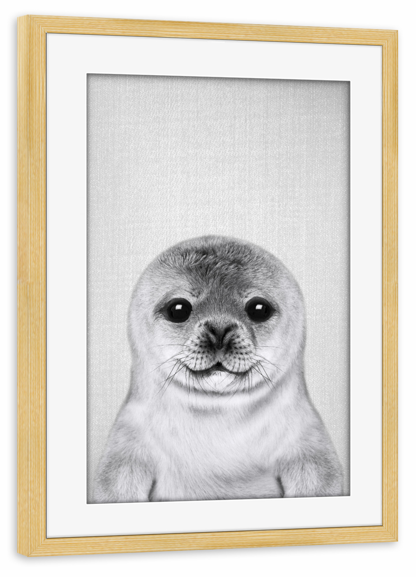 Poster mit Rahmen kiefer "Baby Seal - Black & White" artboxONE - Natur,Für Kinder,Tiere,Schwarzweiß,Lustig