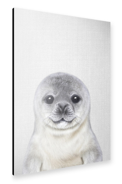 Alu-Dibond "Baby Seal - Colorful" 30x20 cm artboxONE