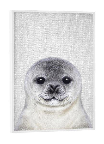 Poster mit weißem Rahmen "Baby Seal - Colorful" artboxONE - Natur,Für Kinder,Tiere