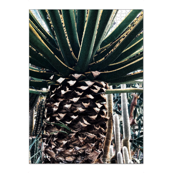Puzzle Ravensburger "Kaktuspalme" artboxONE - Natur - Botanisch,Botanik,Retro,Tropenpflanzen,Tropisch,Kaktus,Kakteen - Bild botanisch