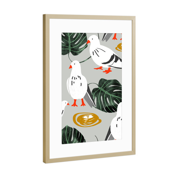 Poster mit Rahmen Gold "White Pigeons" artboxONE - Tiere
