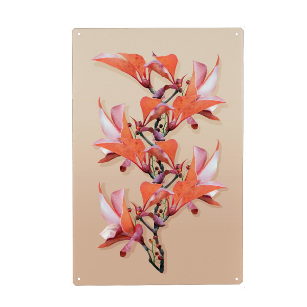 Metall Poster "Flower Graphics" artboxONE - Natur,Reise,Floral,Fashion