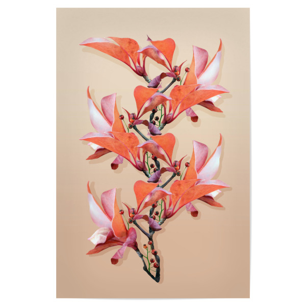Poster "Flower Graphics" artboxONE - Natur,Reise,Floral,Fashion - Beauty,Flower,Herbst,Sommer,Sonne,Schönheit,Duft,Grafikdesign,Lifestyle,Harmonie