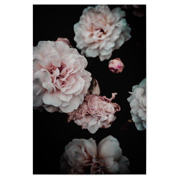 Poster 30x20 cm "Pink Floral Flowers" artboxONE - Natur,Floral,Liebe
