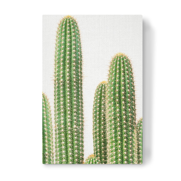 Leinwandbild "Cacti - Portrait" artboxONE - Natur,Floral