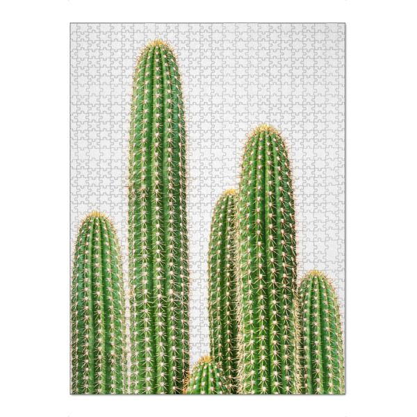 Puzzle Ravensburger "Cacti - Portrait" artboxONE - Natur,Floral